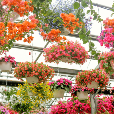 Garden Center Gifts