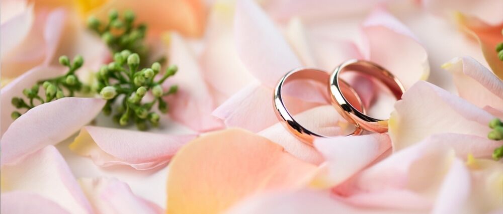 wedding rings on rose petals