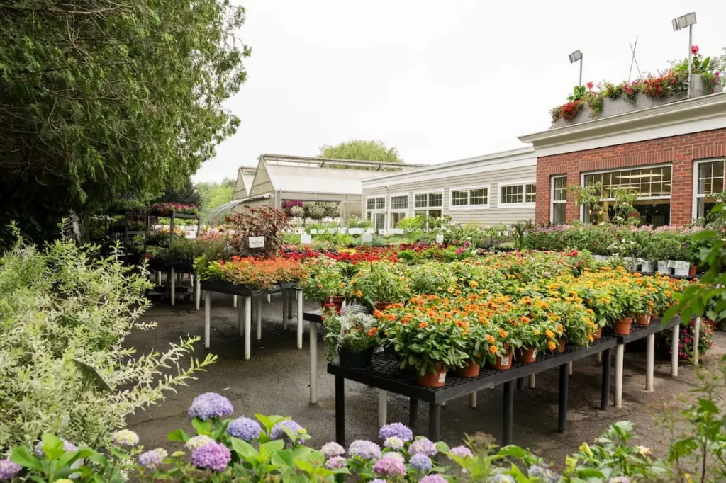 The nursery at Studley's